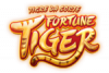 fortune tiger logo